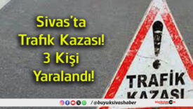 3 kişi
