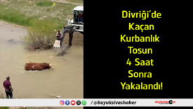 4 saat