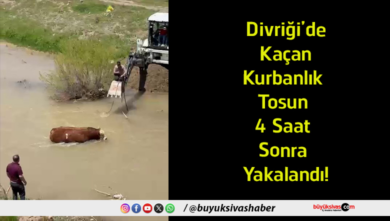 4 saat