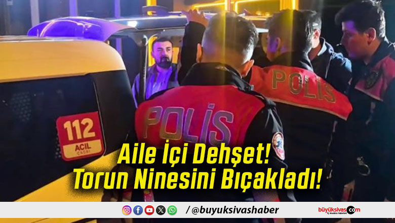 Aile İçi Dehşet! Torun Ninesini Bıçakladı!