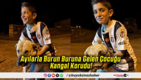 Ayılarla Burun Buruna Gelen Çocuğu Kangal Korudu!
