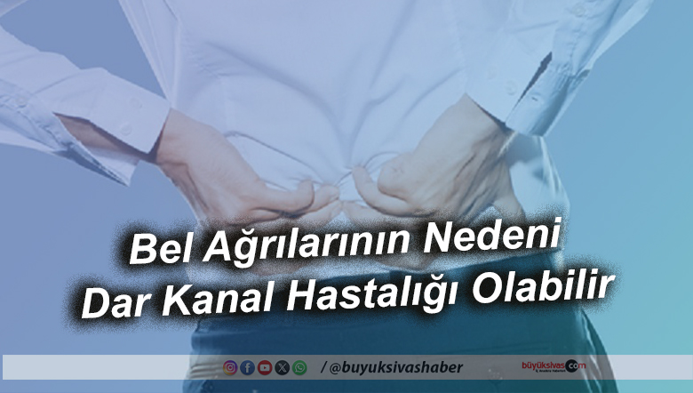 Bel Ağrılarının Nedeni