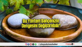 Bu Yöntem