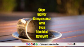 Çöpe Gidiyor