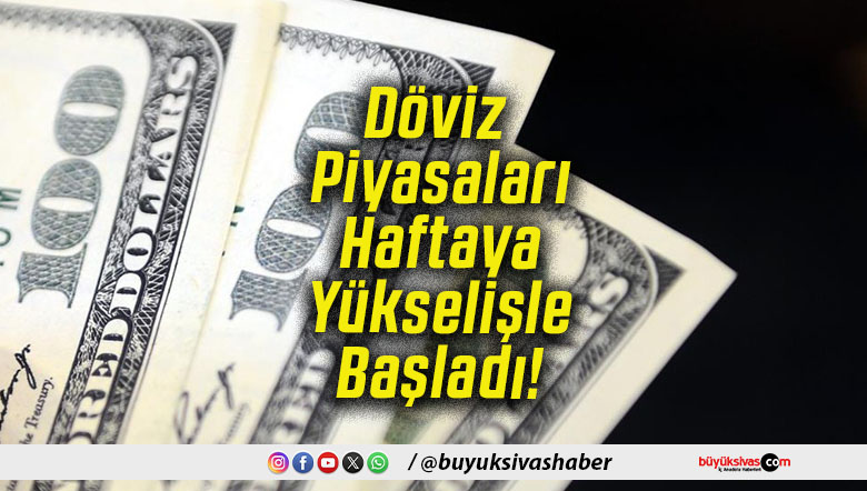 Döviz Piyasaları Haftaya Yükselişle Başladı!