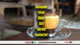 Dünyada Viral Oldu