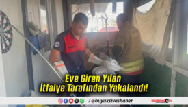 Eve Giren Yılan İtfaiye Tarafından Yakalandı!