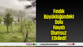 Fındık Büyüklüğündeki Dolu