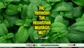 Hiç Yemeden