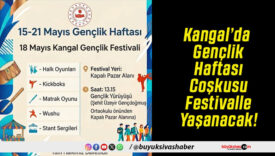 Kangal’da Gençlik Haftası Coşkusu Festivalle Yaşanacak!