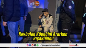 Kaybolan Köpeğini Ararken Bıçaklandı!