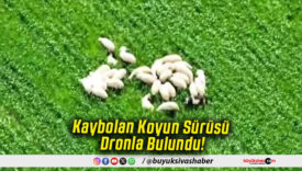 Kaybolan Koyun Sürüsü Dronla Bulundu!
