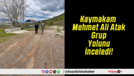 Kaymakam Mehmet Ali Atak Grup Yolunu İnceledi!