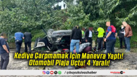 Kediye Çarpmamak İçin Manevra Yaptı! Otomobil Plaja Uçtu! 4 Yaralı!