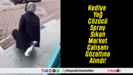 Kediye Yağ Çözücü Sprey Sıkan Market Çalışanı Gözaltına Alındı!