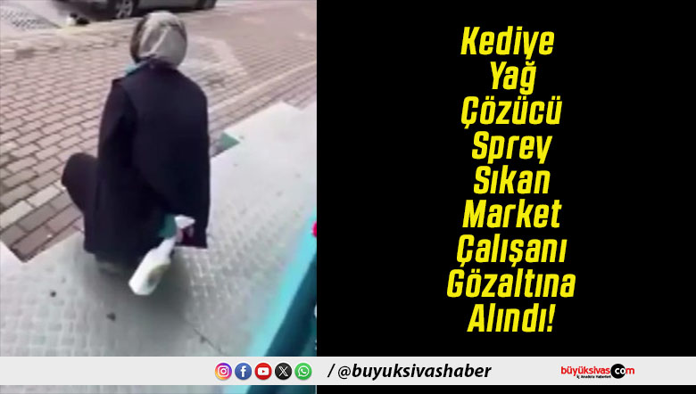 Kediye Yağ Çözücü Sprey Sıkan Market Çalışanı Gözaltına Alındı!