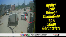 Kediyi Ezdi! Köpeği Tekmeledi! Tepki Çeken Görüntüler!