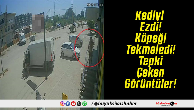 Kediyi Ezdi! Köpeği Tekmeledi! Tepki Çeken Görüntüler!