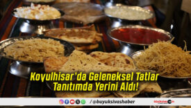 Koyulhisar’da Geleneksel Tatlar Tanıtımda Yerini Aldı!