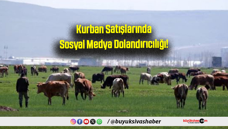 Kurban Satışlarında