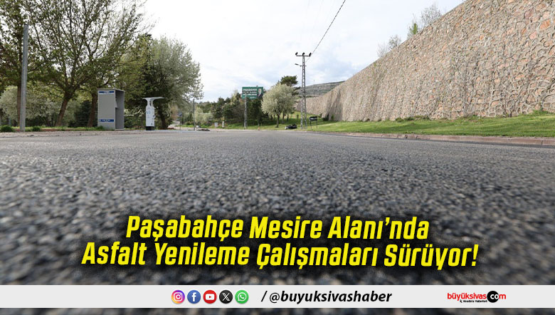 Paşabahçe Mesire Alanı’nda Asfalt Yenileme Çalışmaları Sürüyor!