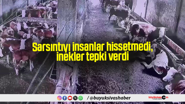 Sarsıntıyı insanlar hissetmedi