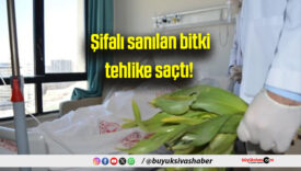 Şifalı sanılan