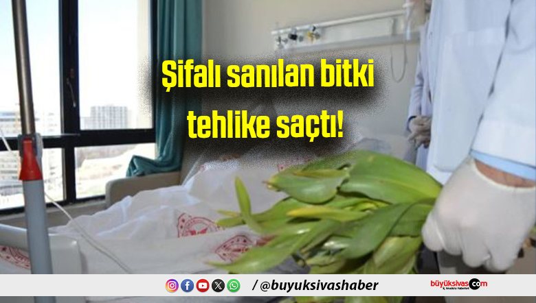Şifalı sanılan