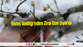 Sivas Valiliği’nden