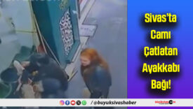 Sivas’ta Camı Çatlatan