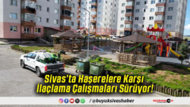 Sivas’ta Haşerelere Karşı İlaçlama Çalışmaları Sürüyor!