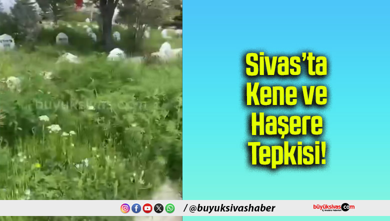 Sivas’ta Kene ve Haşere
