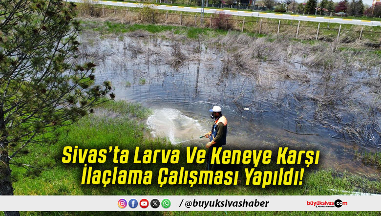 Sivas’ta Larva Ve Keneye Karşı İlaçlama Çalışması Yapıldı!