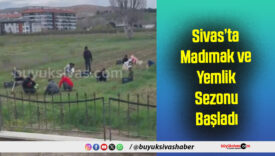 Sivas’ta Madımak ve Yemlik