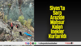 Sivas’ta Sarp Arazide