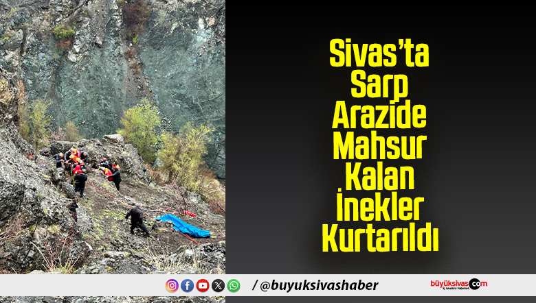 Sivas’ta Sarp Arazide