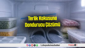 Terlik Kokusuna