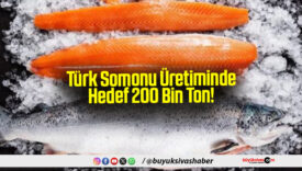 Türk Somonu