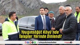 Yaygınsöğüt Köyü’nde Talepler Yerinde Dinlendi!