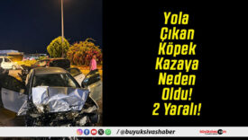 Yola Çıkan Köpek Kazaya Neden Oldu! 2 Yaralı!