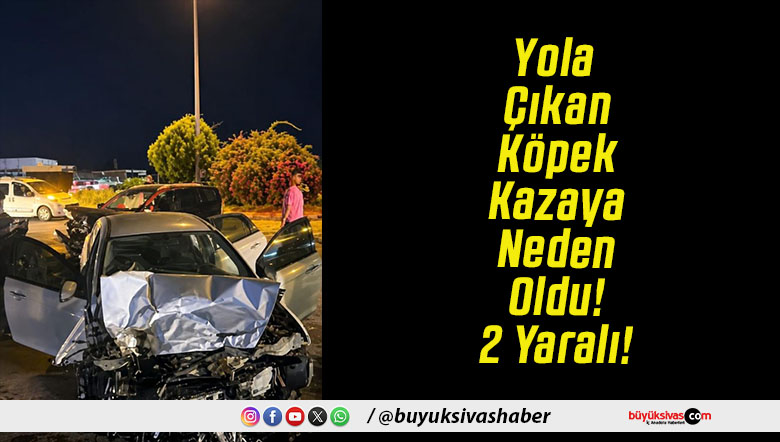 Yola Çıkan Köpek Kazaya Neden Oldu! 2 Yaralı!