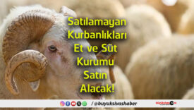 alacak