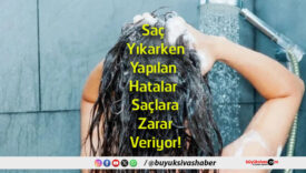 alar