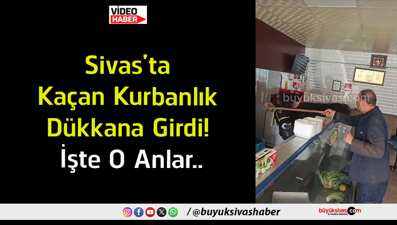 anlar