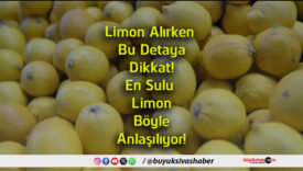 anlaşılıyor