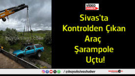araç