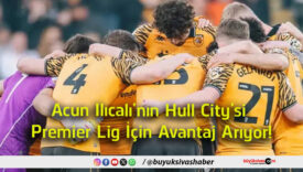 arısa