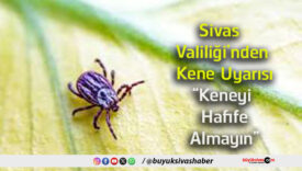 ayın