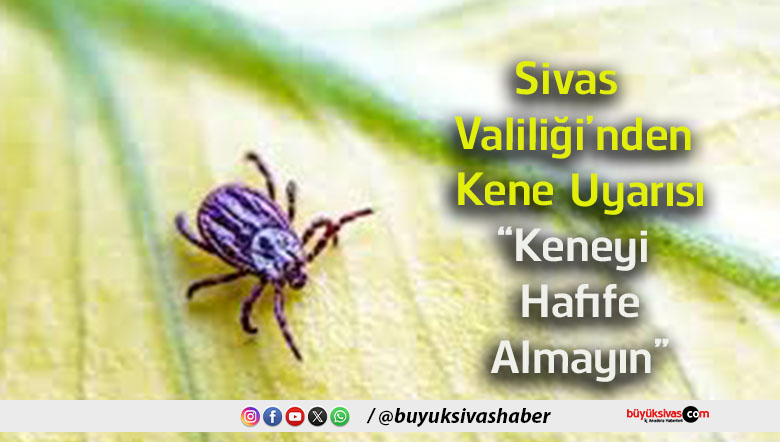 ayın