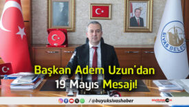 ayıs